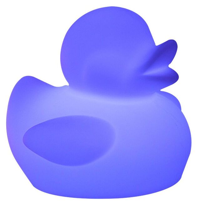 25cm Duck Night Light