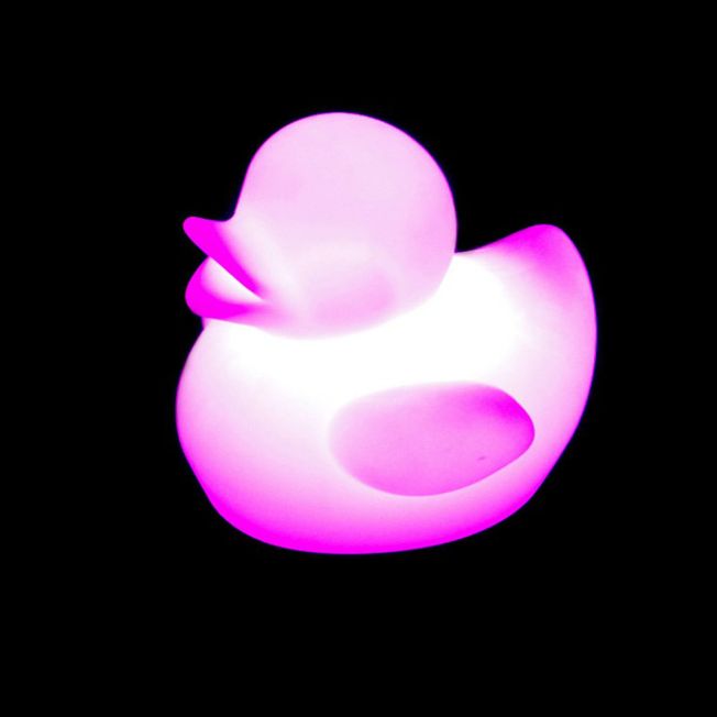 25cm Duck Night Light