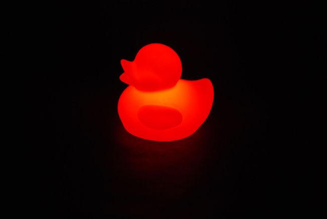 25cm Duck Night Light